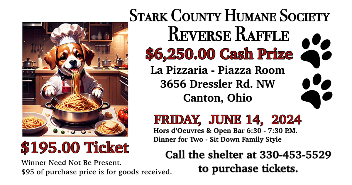 Image of SCHS Reverse Raffle 2024 invitation