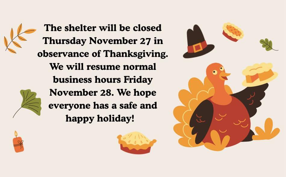 587153579 1265459465611516 3080443187236415039 n