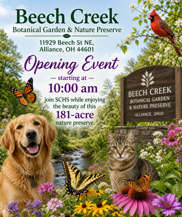 Beech Creek