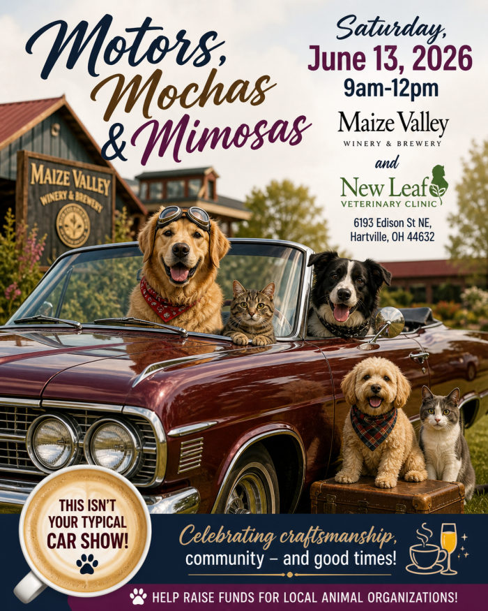Motors , Mochas, & Mimosas