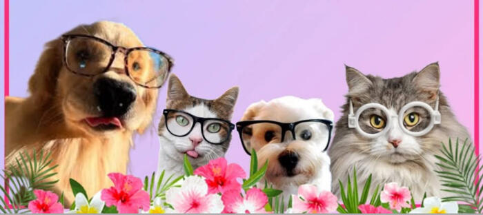 Northeast Oh Vision adoption event graphic