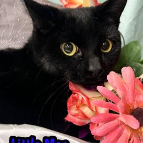 24b995a2 d482 4b40 a7ee 6c9ba603cdf6