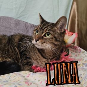 37b9c5f9 1835 4824 97f6 acf485f1426c