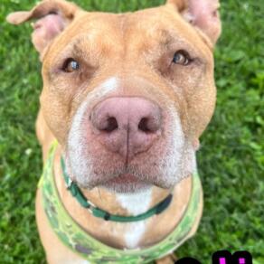 609f2908 7c80 4d3d b186 78d4fb8b2e57