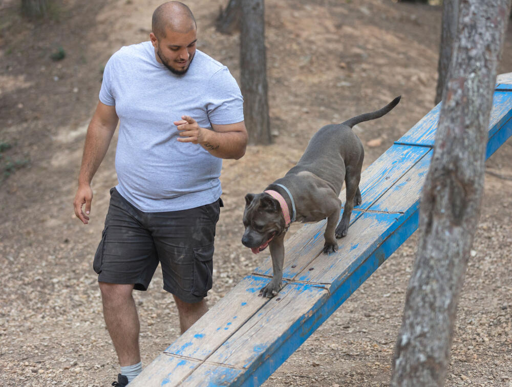 Animal Education Programs Dog Trainer Outside