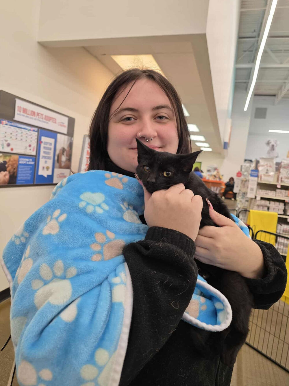 Humane Society Adoption Fees Cat Adoption with Blanket