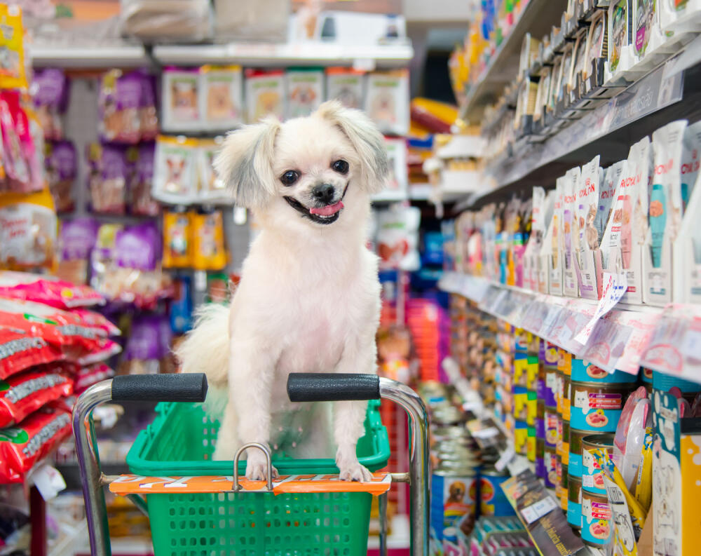 Humane Society Donations Small Dog in Shopping Cart