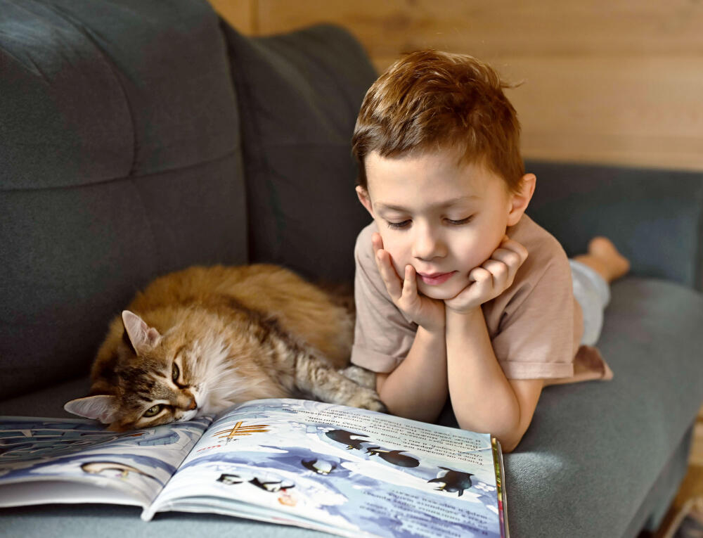 Humane Society Volunteer Boy Reading Book with Cat