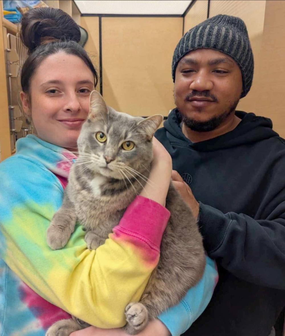 Stark County Humane Society Couple Holding Tabby Cat