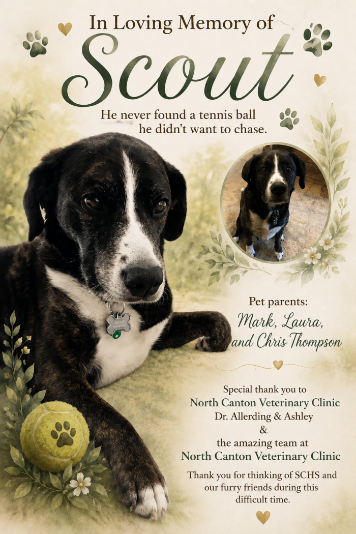 scout final approved memorial