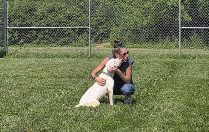 summer pup from june volunteering